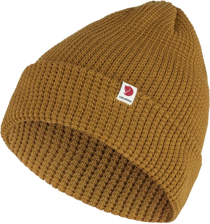 Acorn