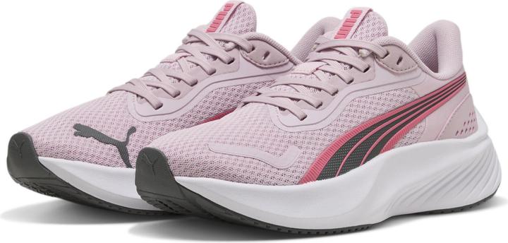 rose mauve magic rose white, Pink