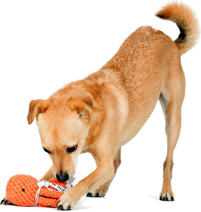 Immagine prodotto Laboni Calamaro Taddeo (Reperimento, Gioco da masticare per cani, Cucciolata di cane giocattolo)