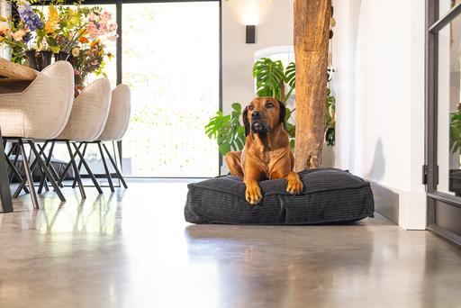 Produktbild Designed by Lotte Liegekissen (Hund)