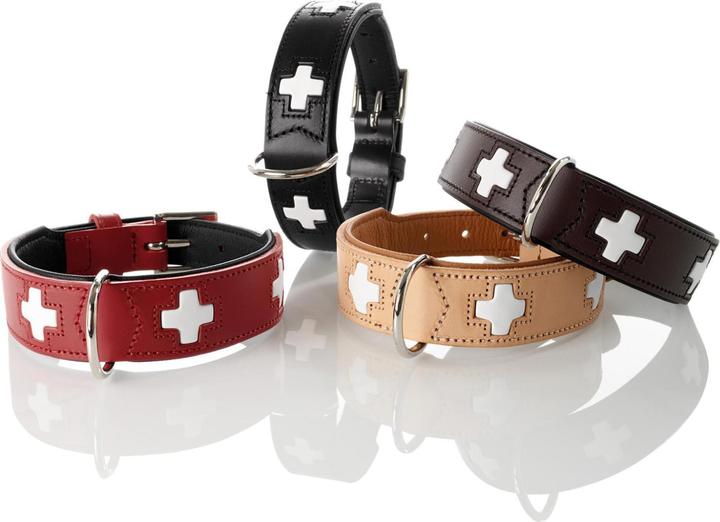 Image du produit Hunter Suisse (Chien, Sport canin)