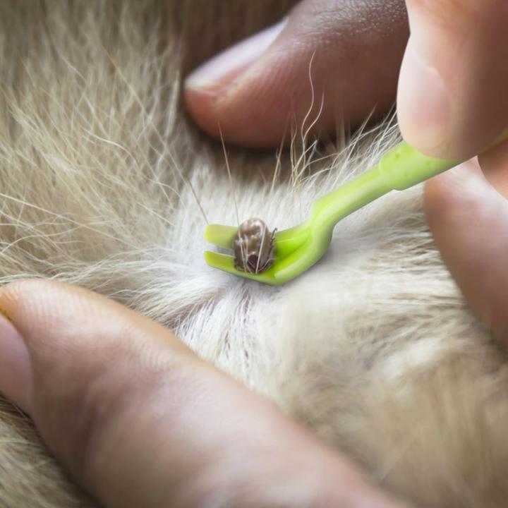Produktbild Suba Zeckenhaken (Hund, Katze)