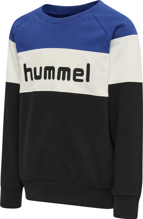 Actual product image hummel Claes Sweatshirt (128)