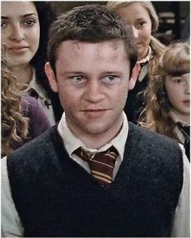 Actual product image Noble Collection Harry Potter Wand Seamus Finnigan (Character Edition)