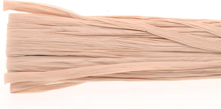 Immagine prodotto Glorex rafia nobile 20m viscosa naturale opaca 10g