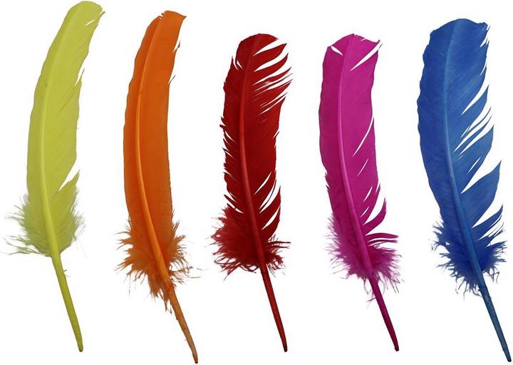 Actual product image Glorex Indian feathers, coloured, 5pcs 28-30cm