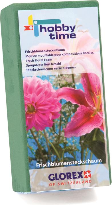 Produktbild Glorex Steckschaum für Frischblumen 23x11x7,5cm
