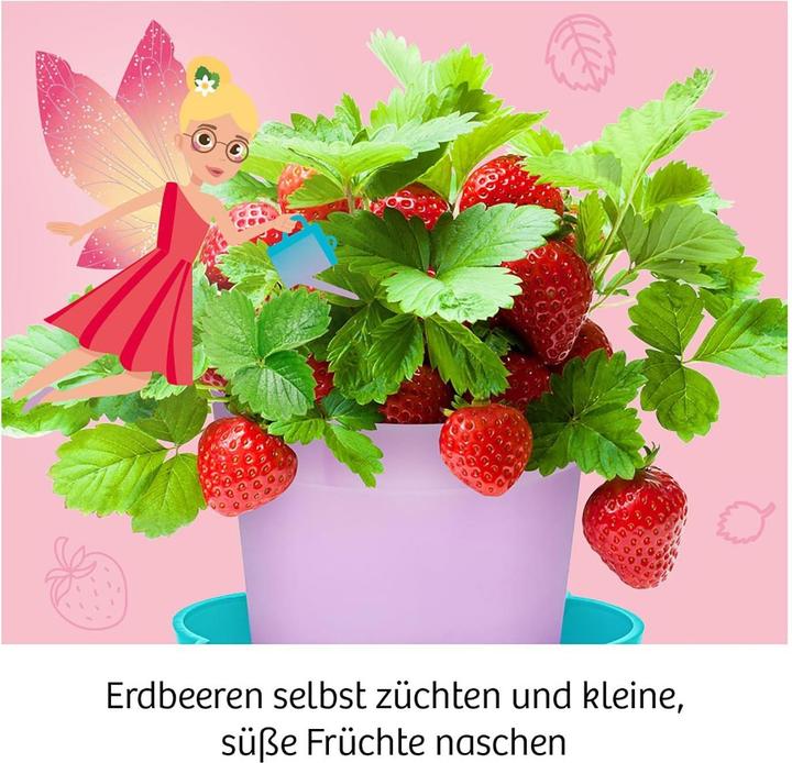Image du produit Kosmos Fraises de fée