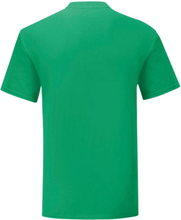 Actual product image Fruit of the Loom Mens Iconic 150 T-Shirt (L)