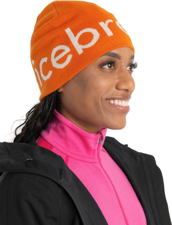 Actual product image Icebreaker U Mer Beanie (One size)