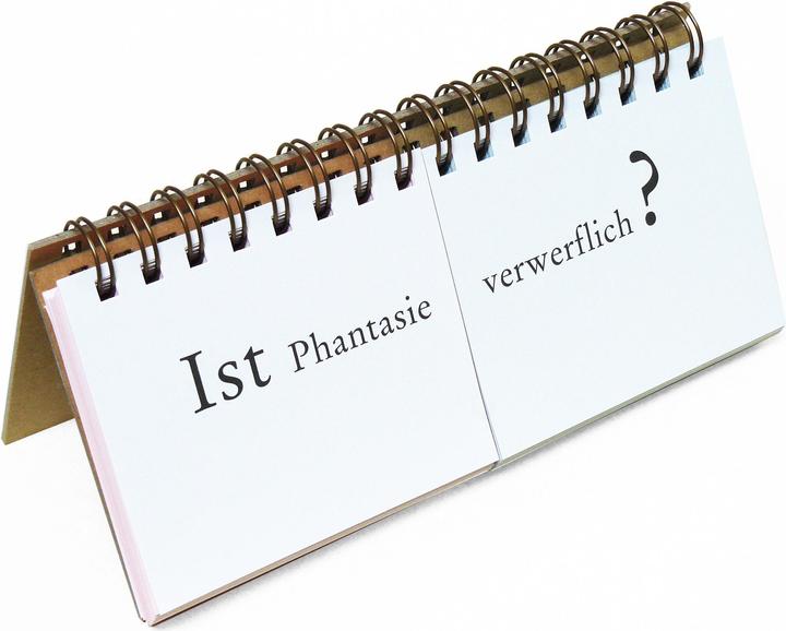 Actual product image Meaning Questions Combinator (German)