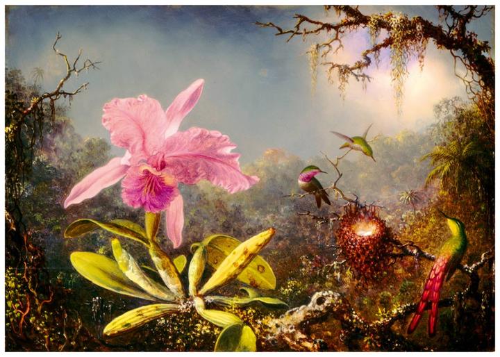 Produktbild Bluebird Puzzle 1000 Cattleya-Orchidee und drei Kolibris (1000 Teile)