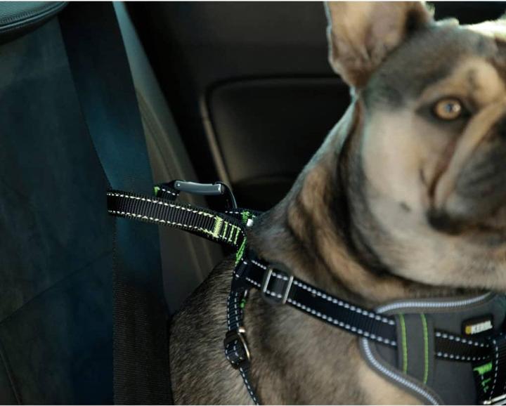 Immagine prodotto Kerbl Autosicherheitsgeschirr (Cane, Chiusura di sicurezza)