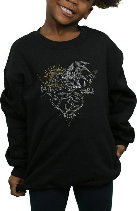 Image du produit - Sweat THESTRAL LINE ART - Fille (116)