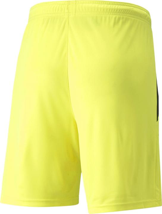 Image du produit Puma Short teamLIGA-704924 (48 E)
