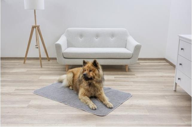 Actual product image Kerbl Thermal carpet (Dog)