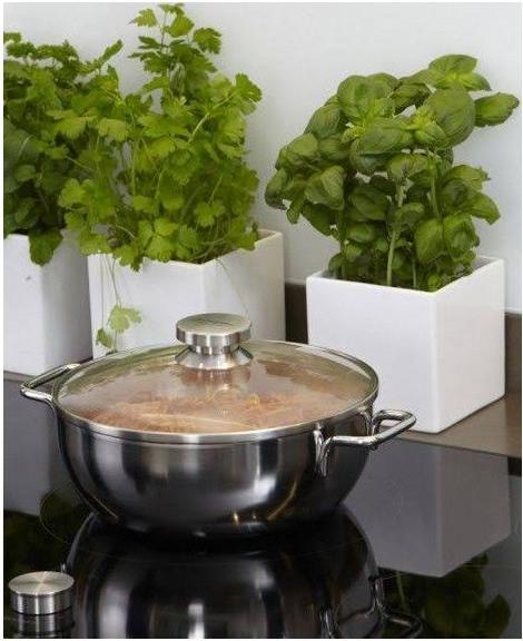 Immagine prodotto Demeyere Coperchio in vetro con anello in acciaio inox 18cm (18 cm, Vetro, Metallo)