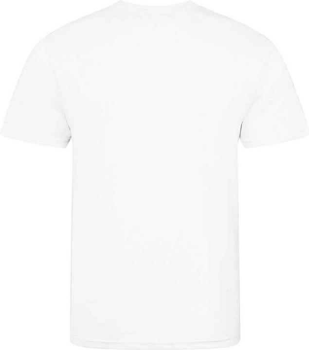 Actual product image Awdis Childrens/Kids T-Shirt (140, 146)