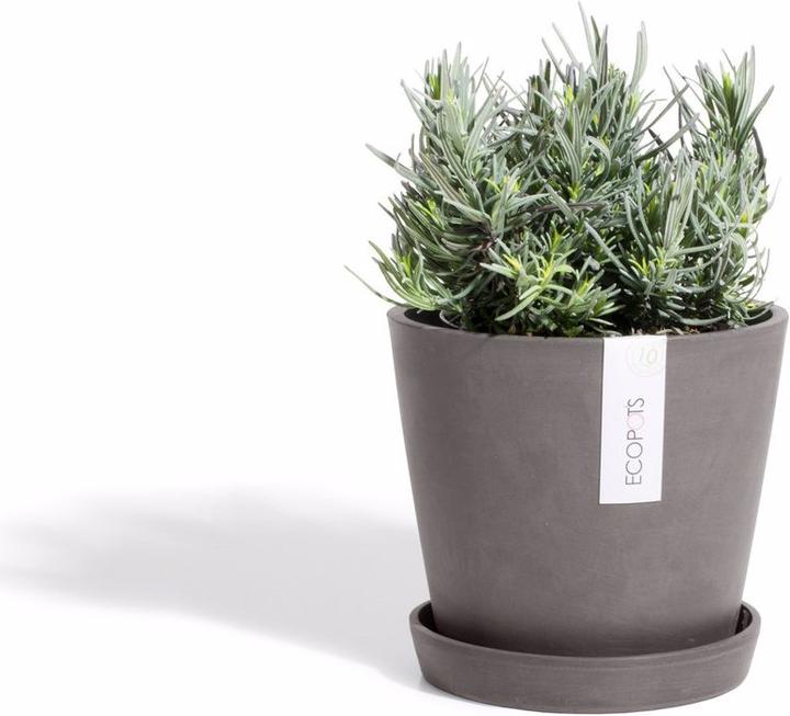 Image du produit Ecopots Saucière ronde