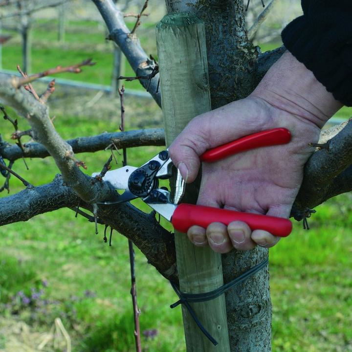 Image du produit Felco Sécateurs de jardin, de vigne et d'arbres