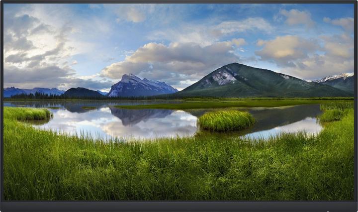 Dell P2422H (1920 x 1080 pixels, 23.80")