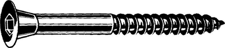 Actual product image Toproc Countersunk wood screws TOPSIX (100 Screws per piece)