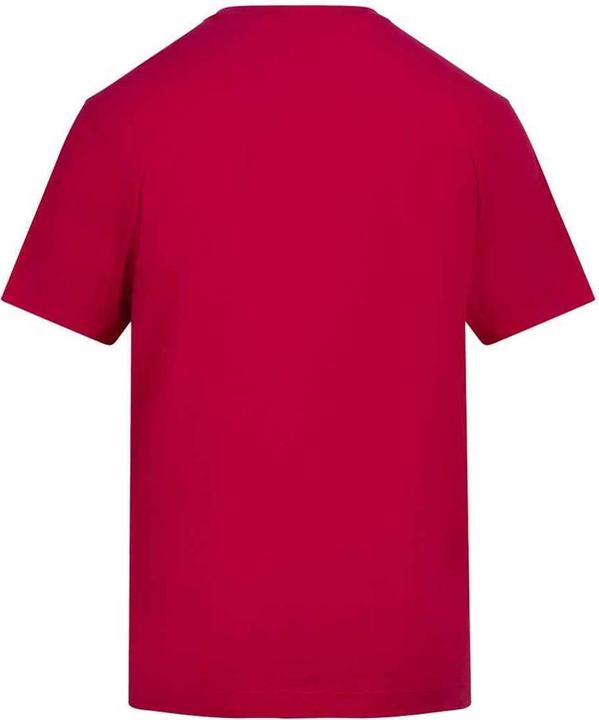 Actual product image Awdis Unisex Adult 150 T-Shirt (3XL)
