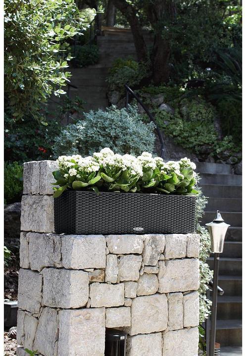 Actual product image Lechuza Balconera Cottage (19 cm)