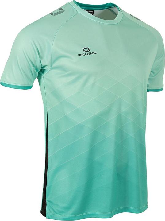 Actual product image Stanno Altius Jersey (140)