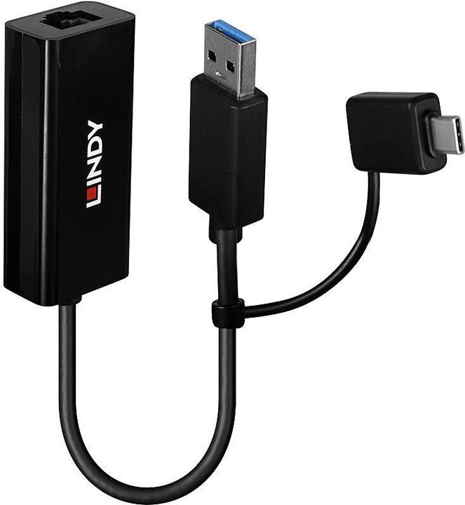 Lindy USB 3.2 Gen 1 Gigabit (USB, RJ45 Gigabit Ethernet (1x))