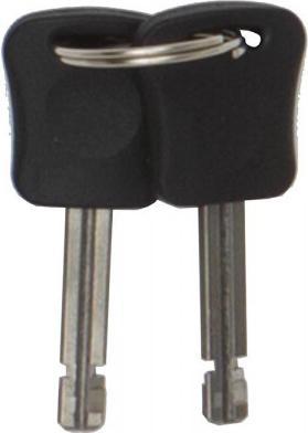 Actual product image Auvray anti-theft device k10