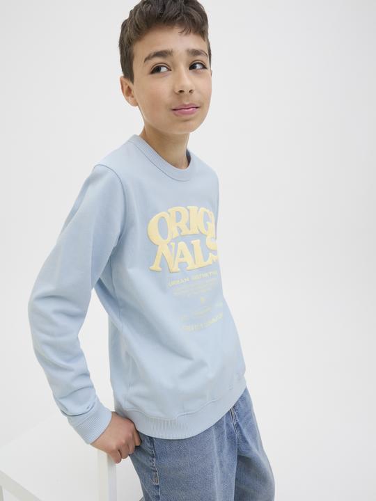 Produktbild Jack & Jones Gedruckt Sweatshirt Junior Sweatshirt (152)