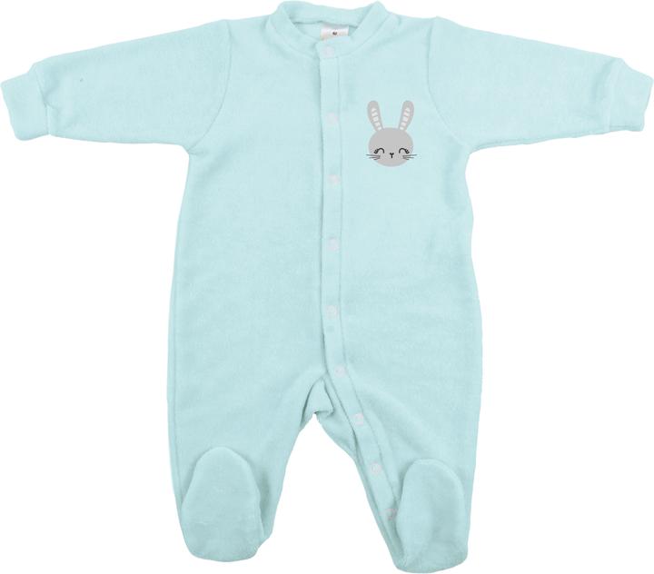 Hase, Mint