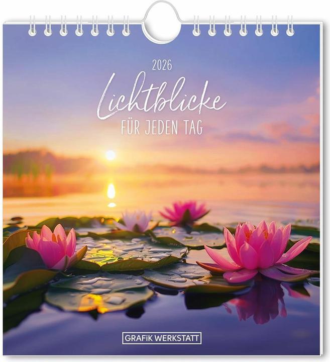 Postkartenkalender 2026 Lichtblicke (Deutsch)