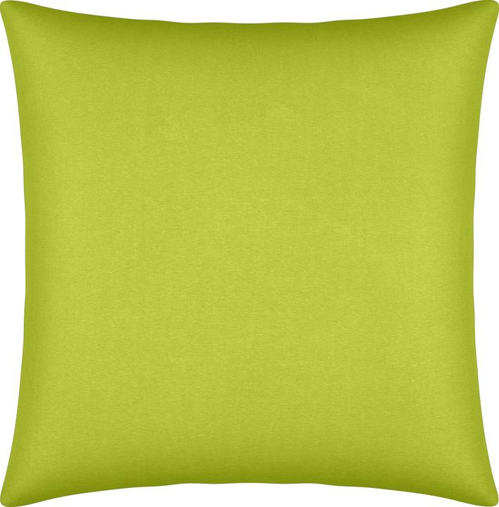 Apple green