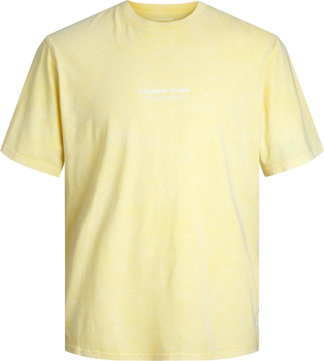 Produktbild Jack & Jones Gedruckt Rundhals T-shirt T-shirt (XS)