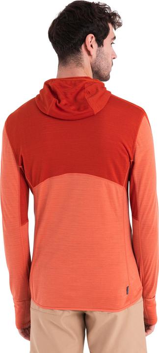 Actual product image Icebreaker Merino 200 Realfleece Descender L/S Zip Hoodie (L)