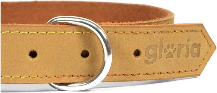 Image du produit Gloria Collier pour chien Oasis 45 cm Jaune (45 x 1,8 cm) (Cuir)