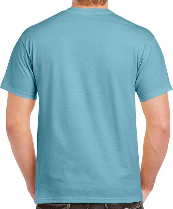 Actual product image Gildan Mens Heavy Cotton T-Shirt (XXL)
