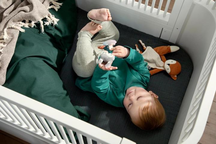 Immagine prodotto Sebra Panno per le coccole delle attività