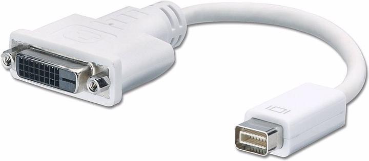 Produktbild Lindy Adapter Mini-DVI an DVI-D (0.20 m)