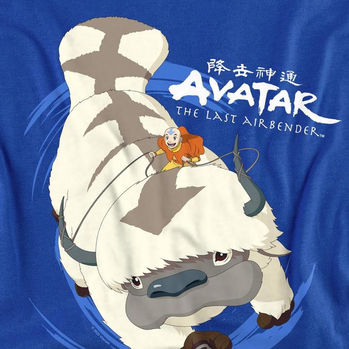 Image du produit Avatar: The Last Airbender - T-shirt IN FLIGHT - Adulte (L)