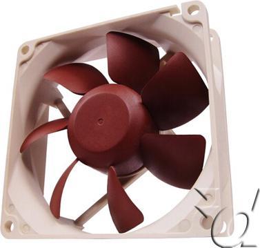 Actual product image Noctua 80mm fan NF-R8 (80 mm)