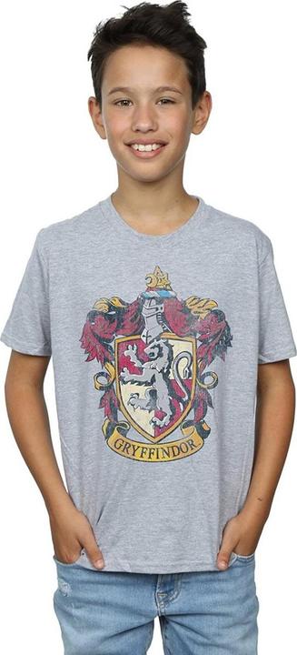Actual product image Boys Gryffindor T-Shirt (104)
