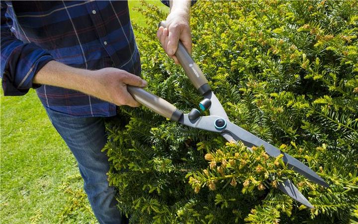Actual product image Gardena NatureCut (Hedge trimmer)