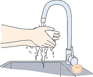 Immagine prodotto Shots Sapone per l'ano