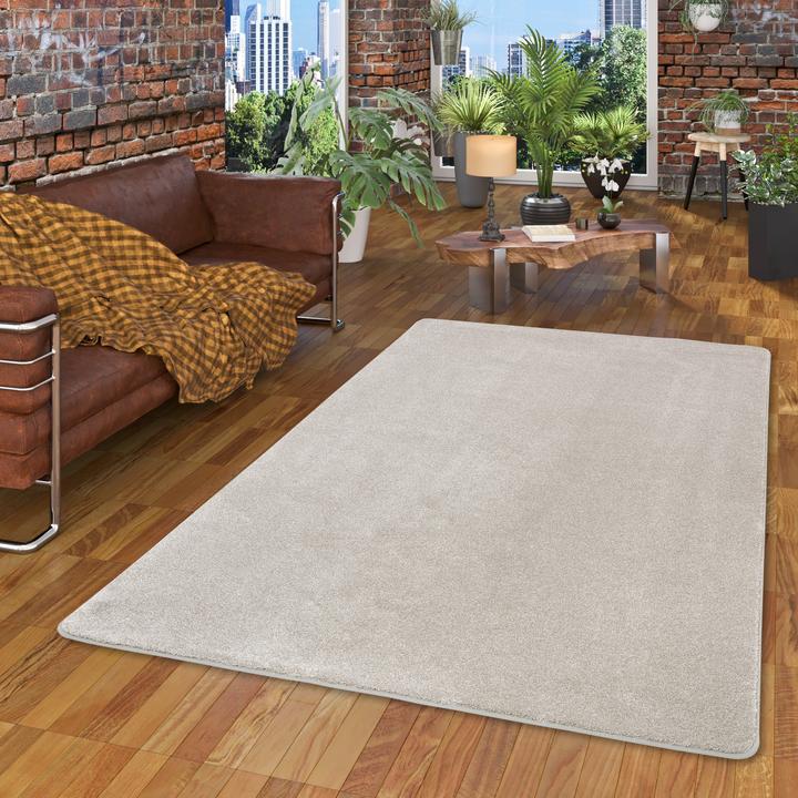 Produktbild Snapstyle Hochflor Luxus Velours Teppich Touch (160 x 240 cm)