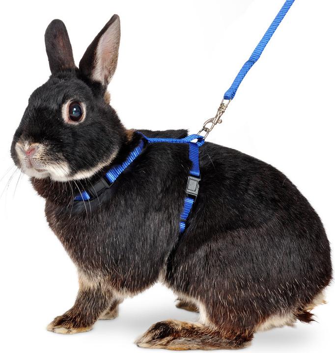 Actual product image Karlie Art Sportiv Plus Rabbit Harness and Leash (Rodents)