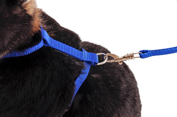 Actual product image Karlie Art Sportiv Plus Rabbit Harness and Leash (Rodents)