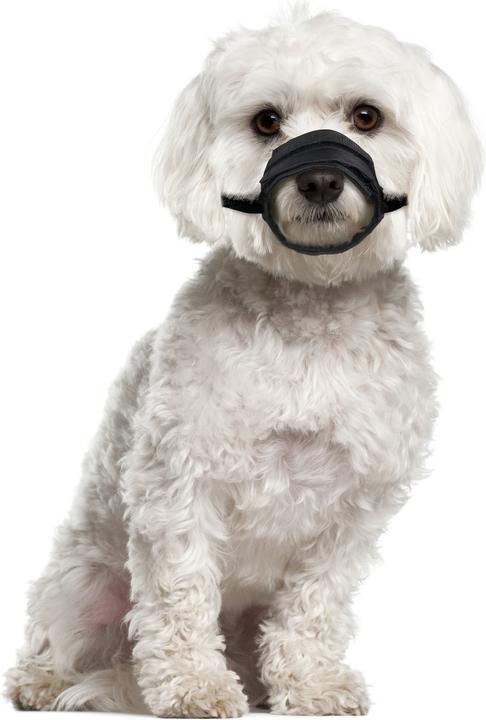 Immagine prodotto Karlie Comfort della museruola (3, Cane, Passeggiare)